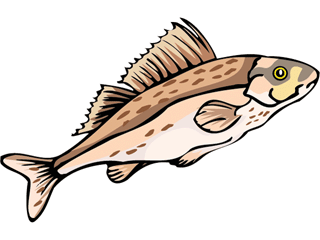 Others fish graphics