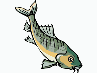 Others fish graphics