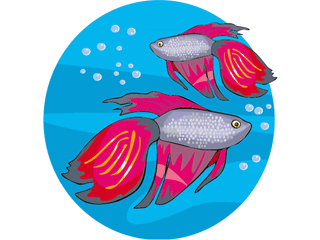 Others fish graphics