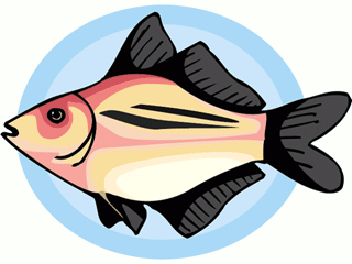 Others fish graphics