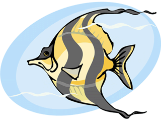 Others fish graphics