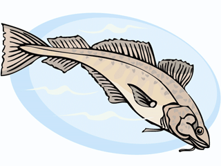 Others fish graphics