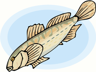 Others fish graphics