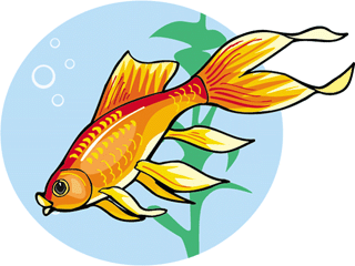 Others fish graphics