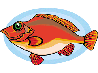 Others fish graphics