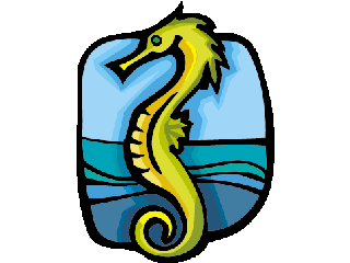 Seahorse fish graphics