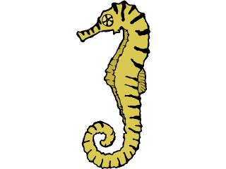 Seahorse fish graphics