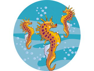 Seahorse fish graphics