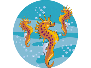 Seahorse