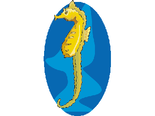 Seahorse