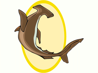 Sharks fish graphics