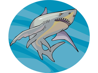 Sharks fish graphics