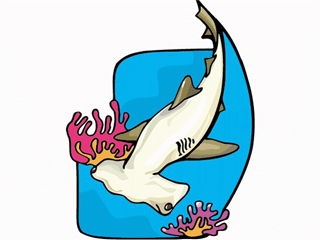 Sharks fish graphics