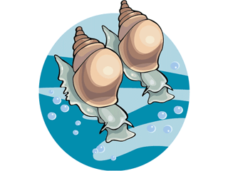 Snails fish graphics