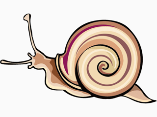 Snails