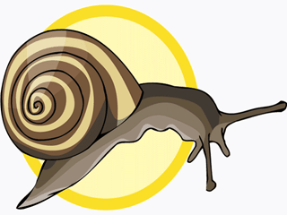 Snails fish graphics