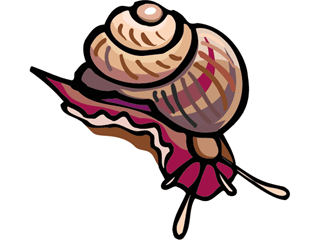 Snails fish graphics