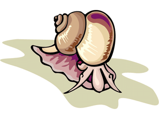 Snails fish graphics