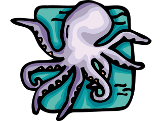 Squid fish graphics