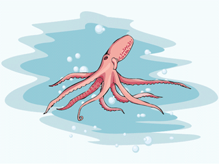 Squid fish graphics