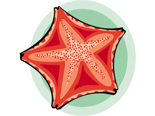 Starfish