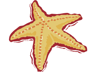 Starfish fish graphics