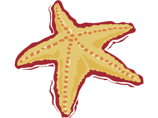 Starfish