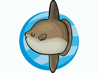 Sunfish