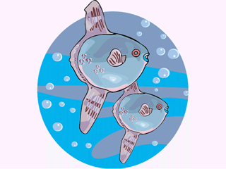 Sunfish