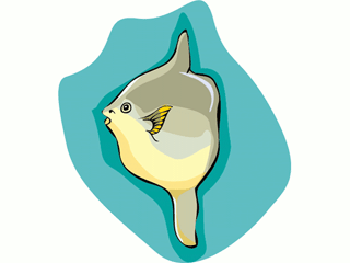 Sunfish fish graphics