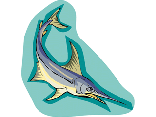 Swordfish fish graphics