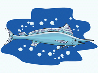 Swordfish fish graphics