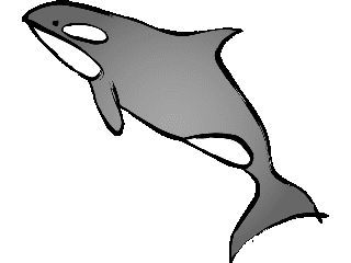 Whale