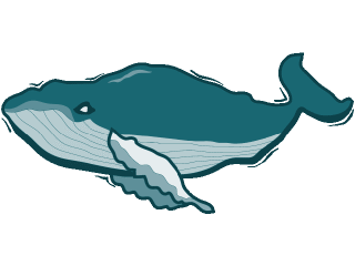 Whale fish graphics