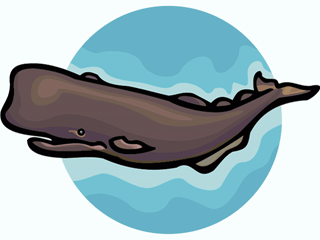 Whale