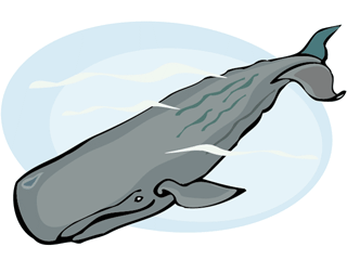 Whale fish graphics