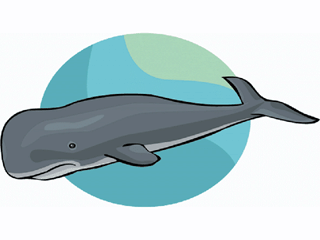 Whale fish graphics