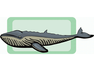 Whale fish graphics