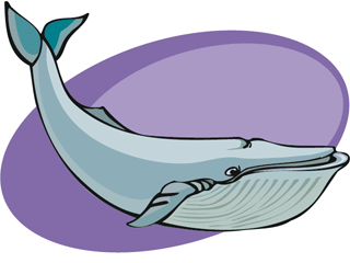 Whale