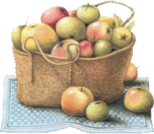 Apples