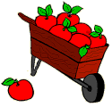 Apples food and drinks