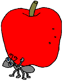 Apples