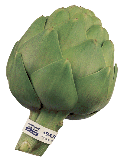 Artichoke