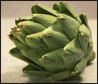 Artichoke