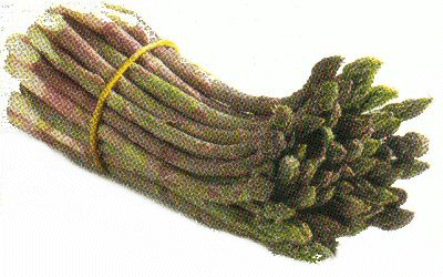 Asparagus