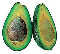 Avocado