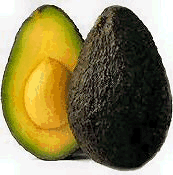 Avocado