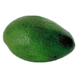 Avocado