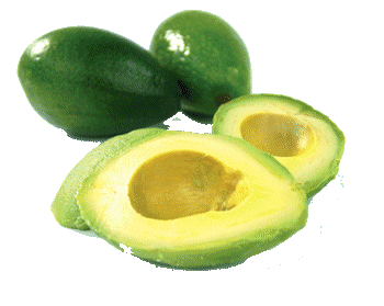 Avocado