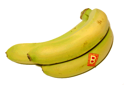 Bananas